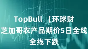 TopBull 【环球财经】芝加哥农产品期价5日全线下跌