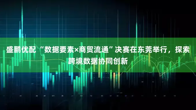 盛鹏优配 “数据要素×商贸流通”决赛在东莞举行，探索跨境数据协同创新