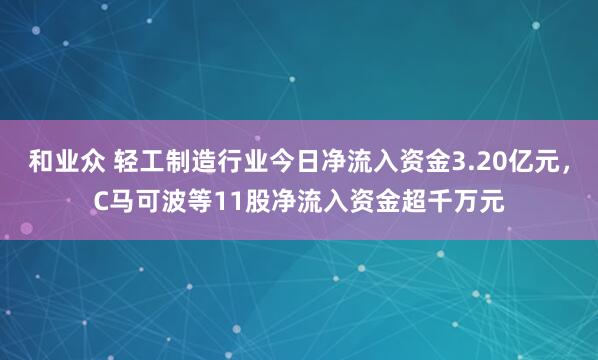 和业众 轻工制造行业今日净流入资金3.20亿元，C马可波等11股净流入资金超千万元